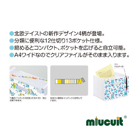 日本进口sedia-Finn 横版12档学生收纳风琴文件夹 商品图3