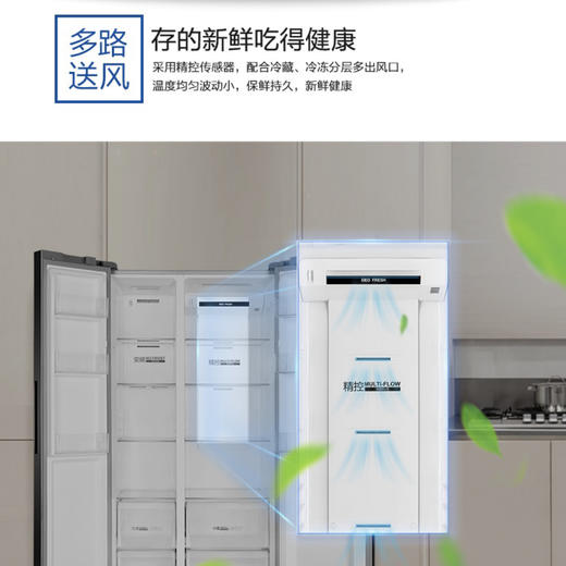 海尔（Haier）冰箱BCD-539WDCO 商品图3