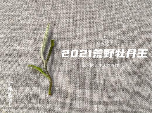 2021荒野牡丹王，花香这么馥郁，让我把毫香都忽略了（60克罐装） 商品图5