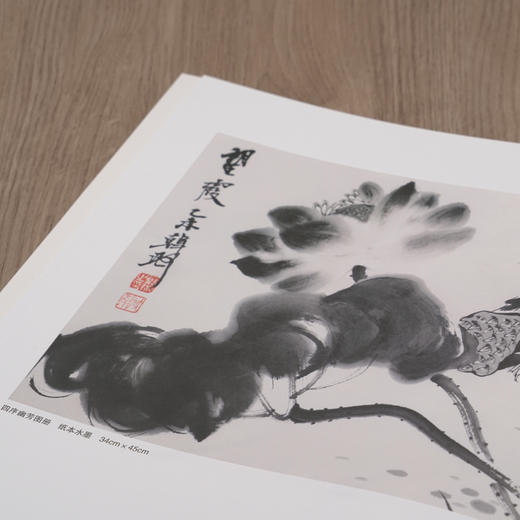 韩璐意笔花鸟课徒稿 中国美术学院名家教学示范作品 学生创作中国画花鸟画入门临摹教程写意花鸟国画绘画技法教材作品画集南山课稿——浙江摄影出版社 商品图4