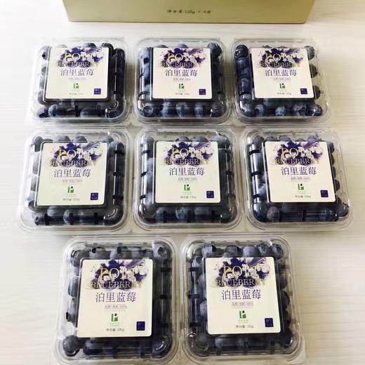 丨有机丨泊里蓝莓 基地现摘发货  蓝莓老爹16年的坚持 商品图12