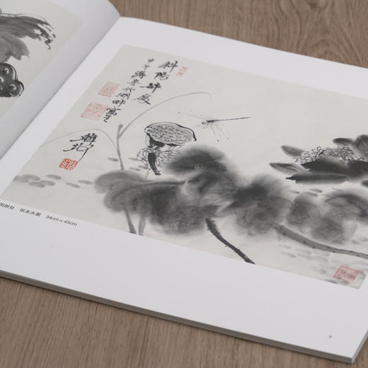 韩璐意笔花鸟课徒稿 中国美术学院名家教学示范作品 学生创作中国画花鸟画入门临摹教程写意花鸟国画绘画技法教材作品画集南山课稿——浙江摄影出版社 商品图3