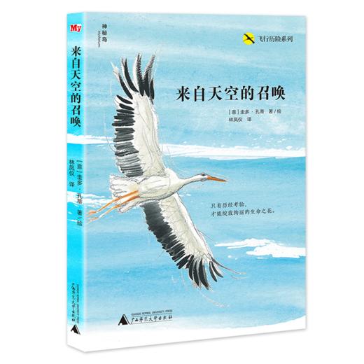 神秘岛飞行历险系列（全3册）来自天空的召唤+最后抵达的鹳鸟+吵架大王的冒险圭多孔蒂著 商品图1