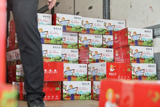 时令水果 白糖罂荔枝 每箱5斤装起 包邮 商品图9