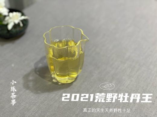 2021荒野牡丹王，花香这么馥郁，让我把毫香都忽略了（1斤收藏装） 商品图5
