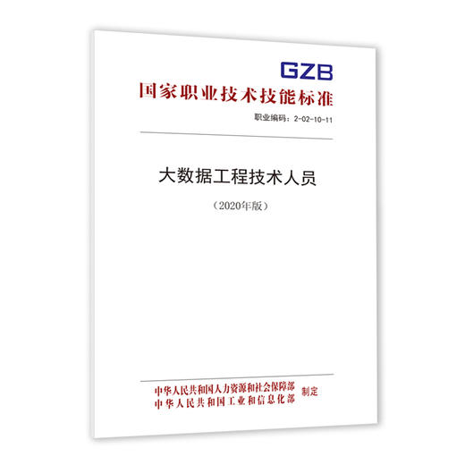 大数据工程技术人员国家职业技术技能标准（2021年版） 商品图0