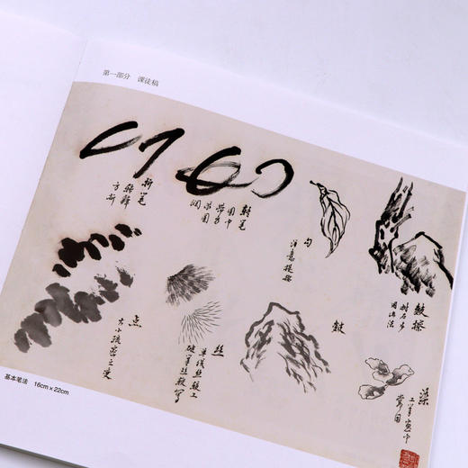 刘海勇花鸟课徒稿 南山课稿 中国美术学院名家教学示范作品 学生创作中国画初学入门临摹教程画册页国画绘画技法赏析教材作品画集——浙江摄影出版社 商品图4