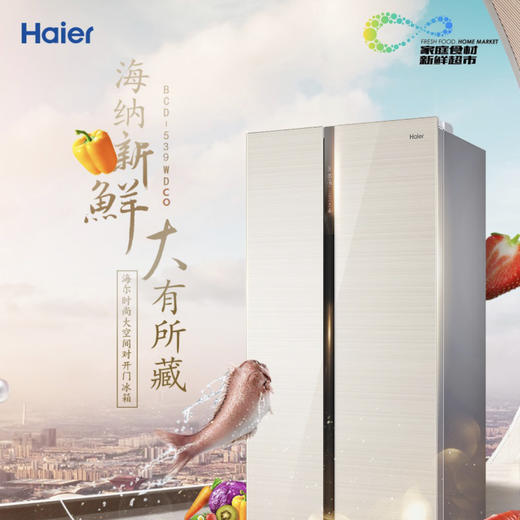 海尔（Haier）冰箱BCD-539WDCO 商品图1