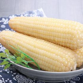 【严选+应季鲜食】张家口甜糯玉米 5根/份*2