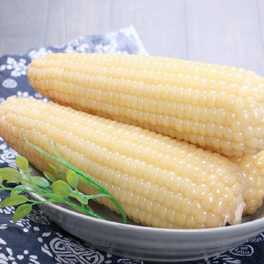 【严选+应季鲜食】张家口甜糯玉米 5根/份*2 商品图0