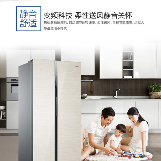 海尔（Haier）冰箱BCD-539WDCO 商品图5