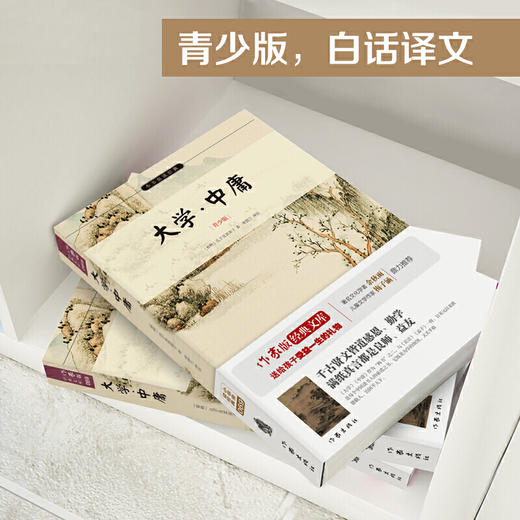 大学中庸 白话译文 生僻字注音+注释+注解 中小学生无障碍阅读 余秋雨寄语 梅子涵作序推荐 商品图2