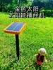 金色太阳太阳能播放器 商品缩略图1