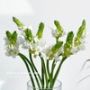 【店主现货·白色雀梅】10支/扎 长约60-70cm 商品缩略图0