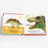 进口英文原版童书触摸和感受系列恐龙Touch and Feel Dinos (Scholastic Early Learners)低幼启蒙认知纸板书触摸书3-5岁宝宝阅读 商品缩略图3