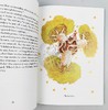 The Little Prince 小王子英文原版小说 插画版 全英文版书籍 儿童文学名著经典童话故事 进口少儿英语学习读物 圣埃克苏佩里 商品缩略图2