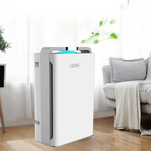 【博真优选】二代负离子空气净化器 商品图1