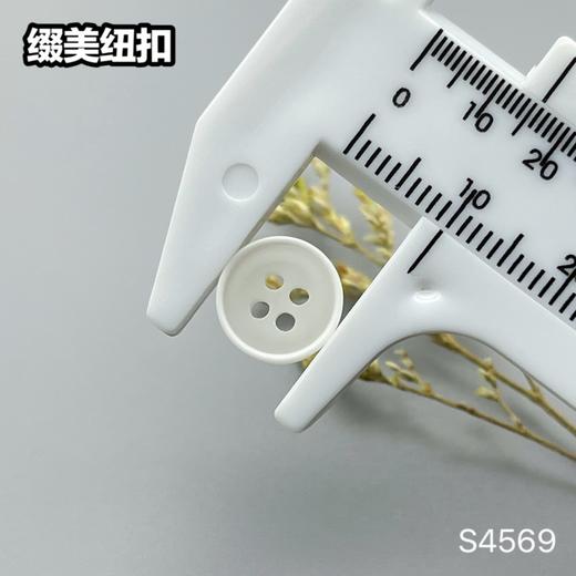 S4569(整包购买) 商品图6