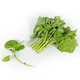 白苋菜 White Amaranth 250g