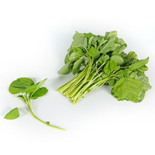 白苋菜 White Amaranth 250g 商品图0