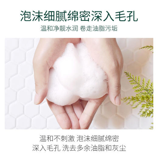 佰珍堂积雪草净润洁面膏 商品图3