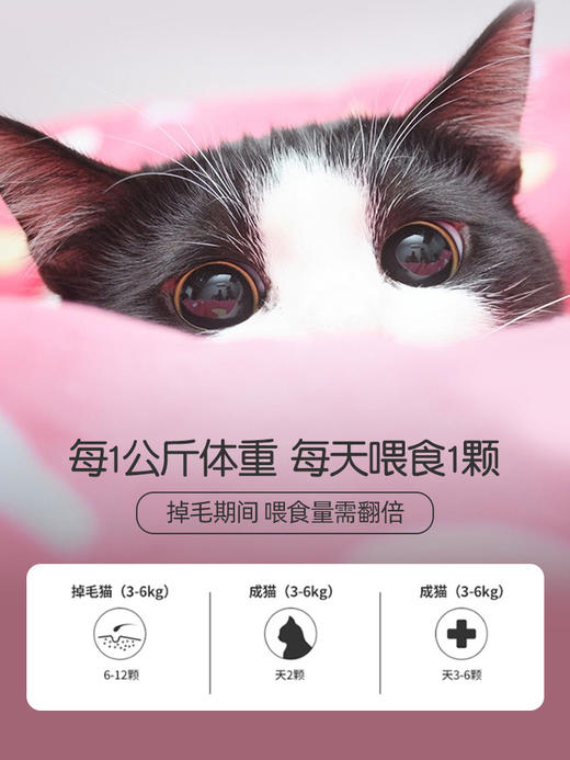 麦德氏猫用卵磷脂225g美毛护肤 商品图5