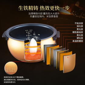 【博真优选】IH电磁电饭煲