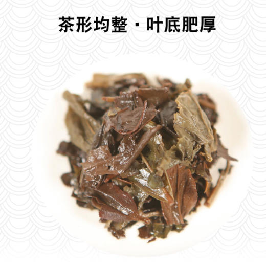福鼎白茶 绿雪芽 2016年原料高山老白茶寿眉 【读懂中国】秦砖  750g/砖 商品图3