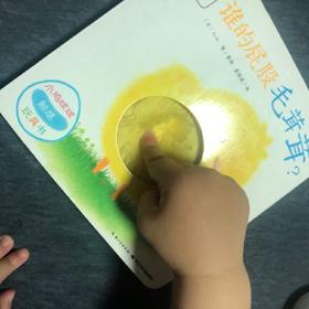 《小鸡球球触感玩具书》：不同的毛茸茸的感觉，摸出来感受不一样