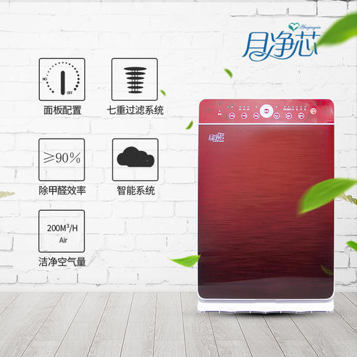 【博真优选】负离子空气净化器 商品图0