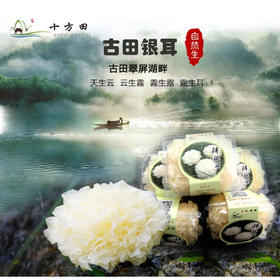 古田银耳（六朵）（地标产品）