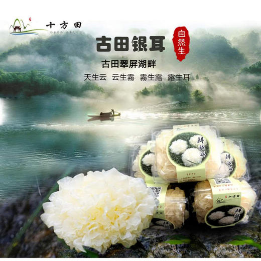 古田银耳（六朵）（地标产品） 商品图0