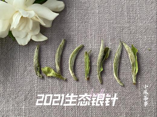 2021有机白毫银针，一款温柔得极具大师风格的茶，如温香软玉一般（50克罐装） 商品图5