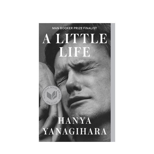 【英文原版】A Little Life 渺小一生 商品图0