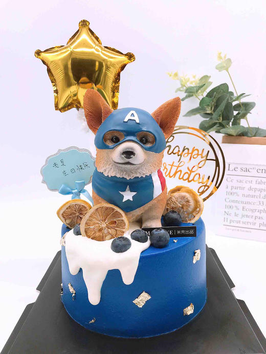 柯基美国队长 商品图0