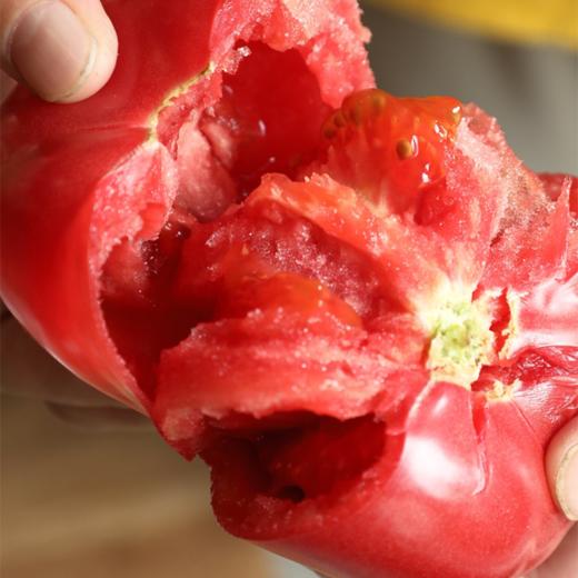 【已下架】72小时发货 | 好柿光新疆沙瓤西红柿5斤装  皮薄光滑沙瓤多汁甜中带酸 [福利品] 商品图5