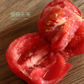 【已下架】72小时发货 | 好柿光新疆沙瓤西红柿5斤装  皮薄光滑沙瓤多汁甜中带酸 [福利品]