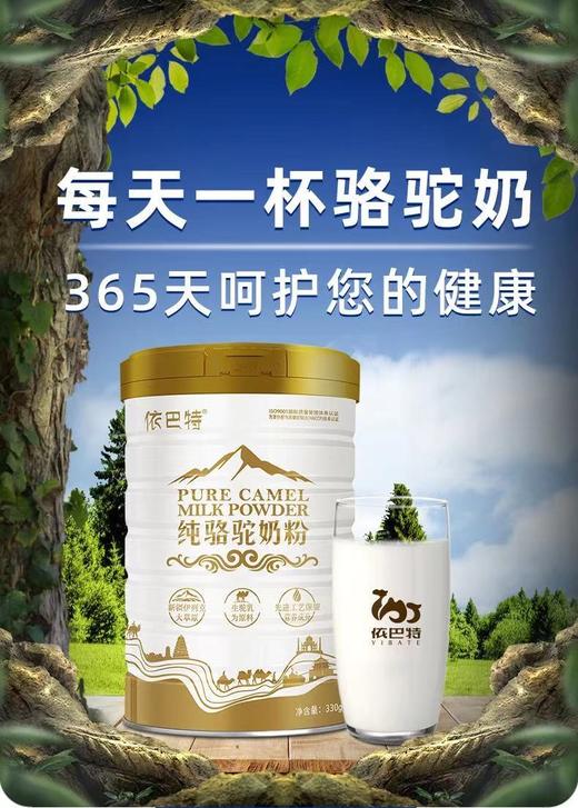 纯骆驼奶粉330g 商品图0