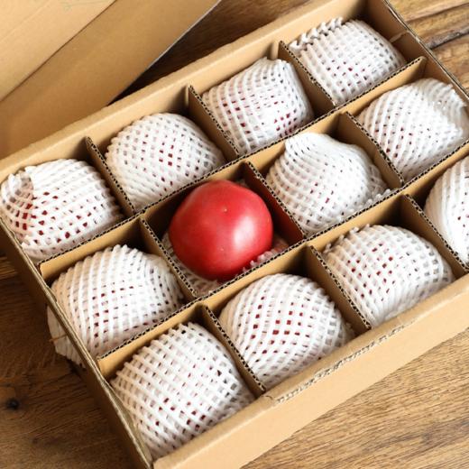 【已下架】72小时发货 | 好柿光新疆沙瓤西红柿5斤装  皮薄光滑沙瓤多汁甜中带酸 [福利品] 商品图9