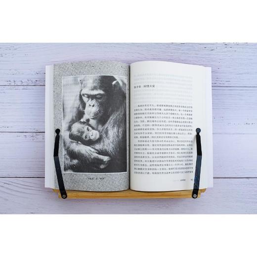 点燃希望 商品图3