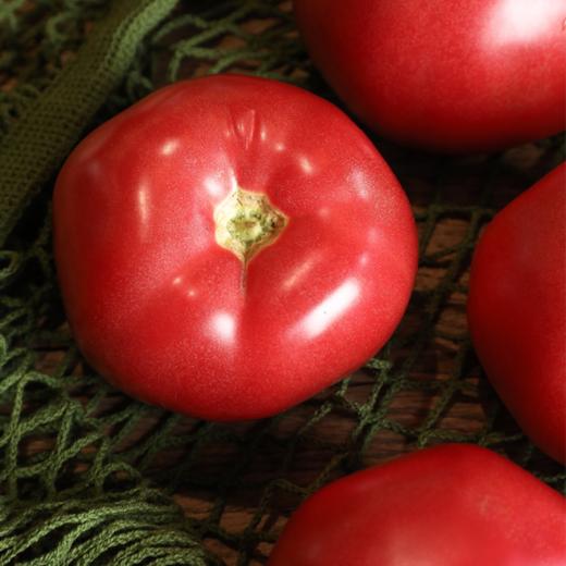 【已下架】72小时发货 | 好柿光新疆沙瓤西红柿5斤装  皮薄光滑沙瓤多汁甜中带酸 [福利品] 商品图7