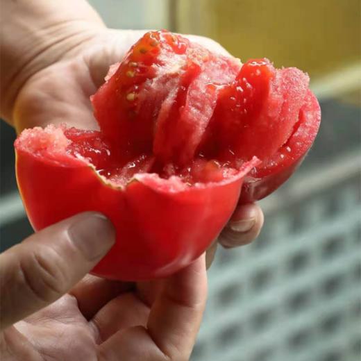 【已下架】72小时发货 | 好柿光新疆沙瓤西红柿5斤装  皮薄光滑沙瓤多汁甜中带酸 [福利品] 商品图2