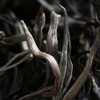凰馨古茶【曼松-单株】普洱生茶900年古树200g散茶 商品缩略图1