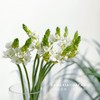 【店主现货·白色雀梅】10支/扎 长约60-70cm 商品缩略图3