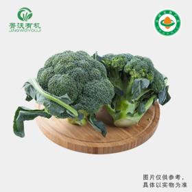 有机西蓝花（300g/份）