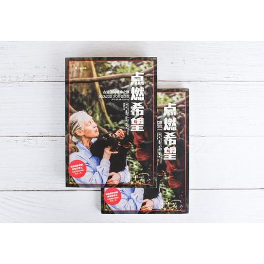 点燃希望 商品图2