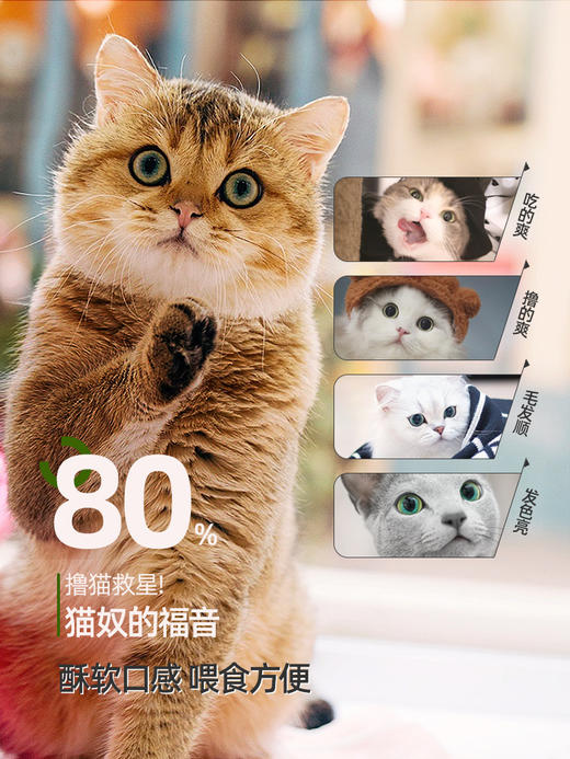 麦德氏猫用卵磷脂225g美毛护肤 商品图2