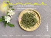 2021有机白毫银针，一款温柔得极具大师风格的茶，如温香软玉一般（50克罐装） 商品缩略图2