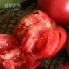 【已下架】72小时发货 | 好柿光新疆沙瓤西红柿5斤装  皮薄光滑沙瓤多汁甜中带酸 [福利品] 商品缩略图3
