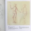 【中商原版】人体解剖基础 英文原版 Basic Human Anatomy Roberto Osti 商品缩略图4